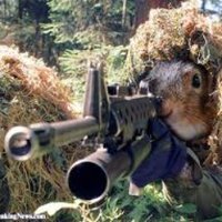 @ShitSecure avatar