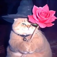 @_JohnHammond avatar