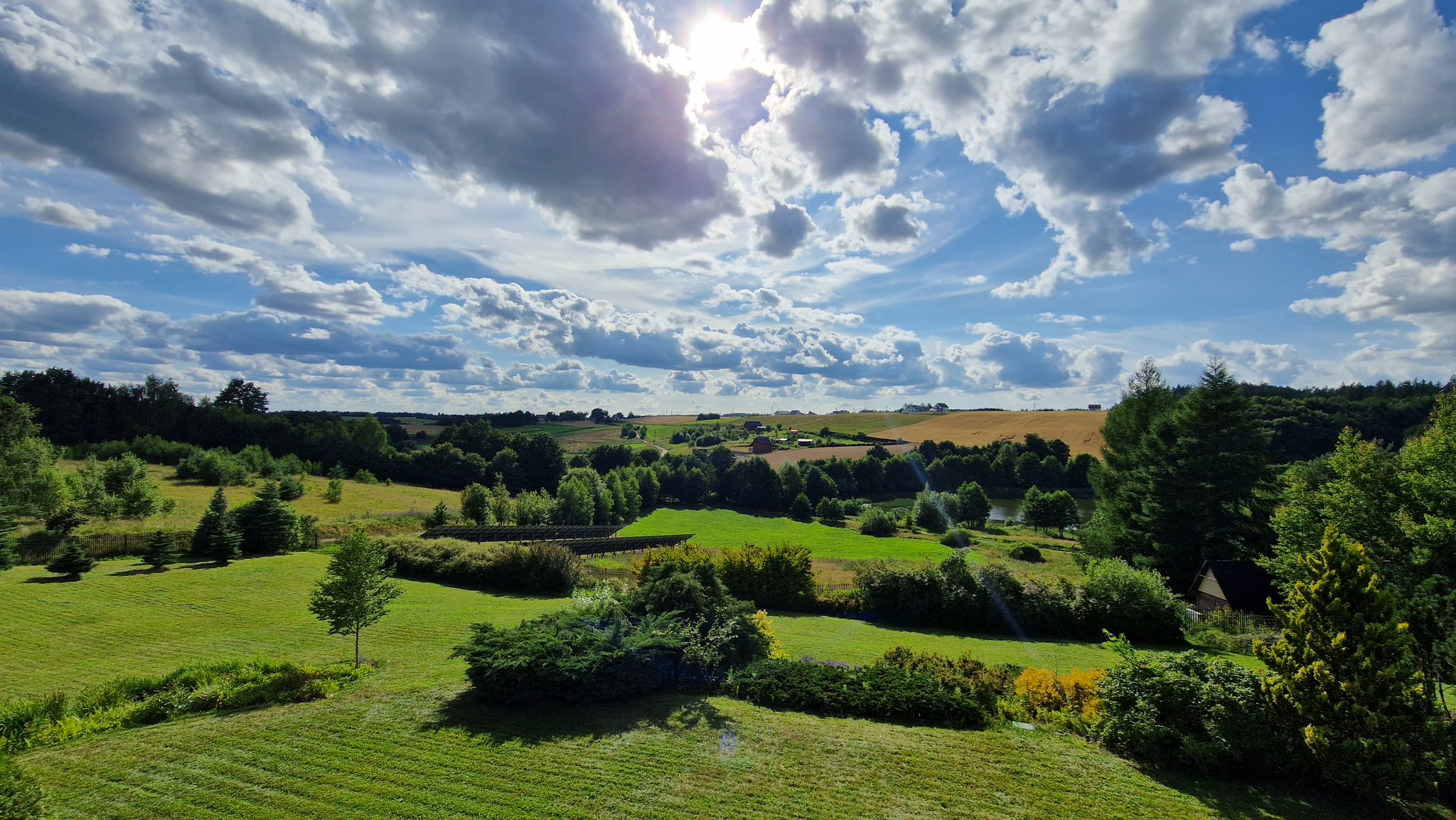 tweet media
