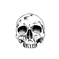 @harmj0y avatar